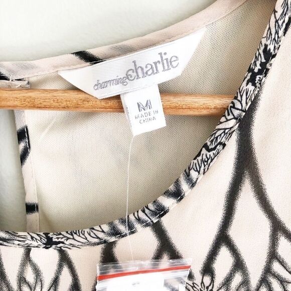 Charming Charlie Dress  - Picture 3 of 5